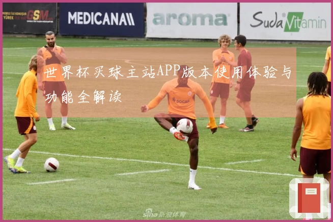 世界杯买球主站APP版本使用体验与功能全解读