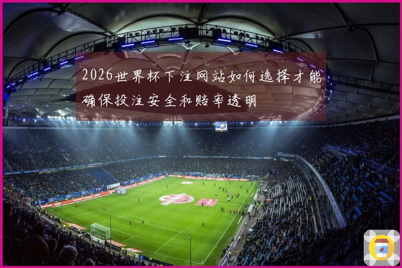 2026世界杯下注网站如何选择才能确保投注安全和赔率透明