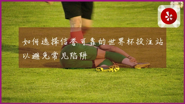 如何选择信誉可靠的世界杯投注站以避免常见陷阱