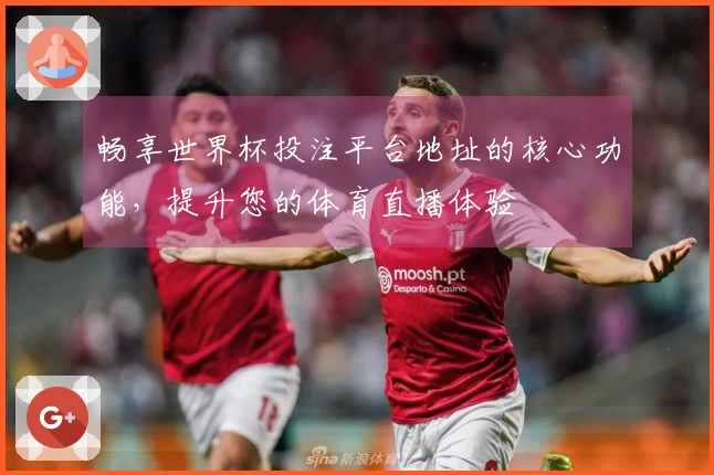 畅享世界杯投注平台地址的核心功能，提升您的体育直播体验
