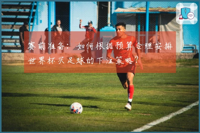 赛前准备：如何根据预算合理安排世界杯买足球的下注策略？