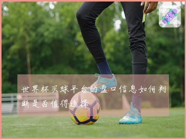 世界杯买球平台的盘口信息如何判断是否值得选择