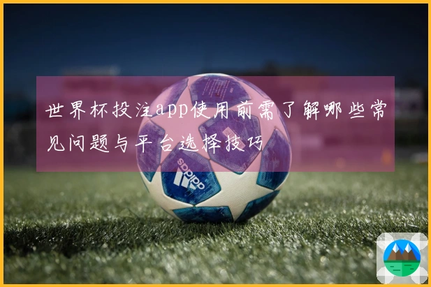 世界杯投注app使用前需了解哪些常见问题与平台选择技巧
