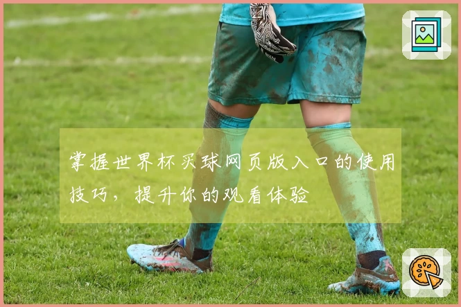 掌握世界杯买球网页版入口的使用技巧，提升你的观看体验