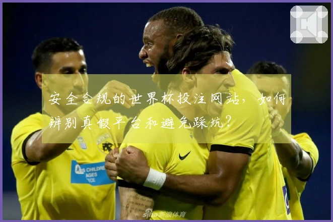 安全合规的世界杯投注网站，如何辨别真假平台和避免踩坑？