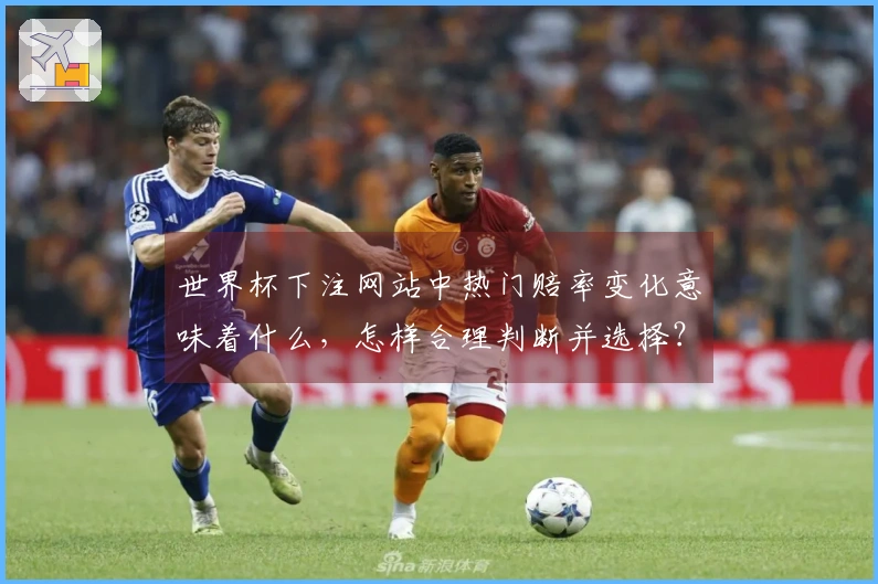 世界杯下注网站中热门赔率变化意味着什么，怎样合理判断并选择？