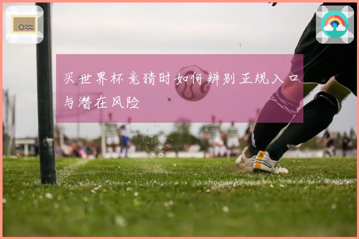 买世界杯竞猜时如何辨别正规入口与潜在风险