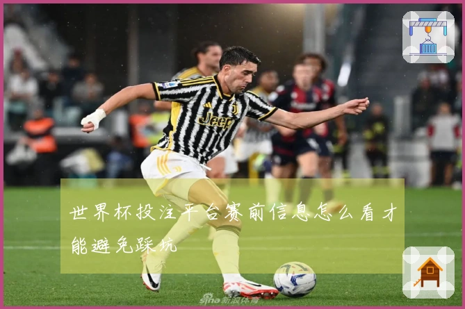 世界杯投注平台赛前信息怎么看才能避免踩坑