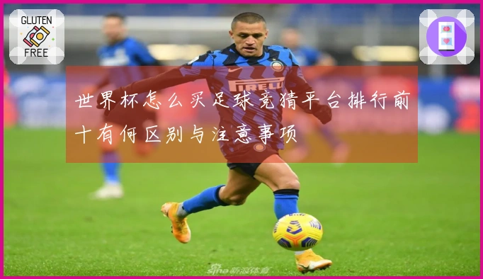 世界杯怎么买足球竞猜平台排行前十有何区别与注意事项