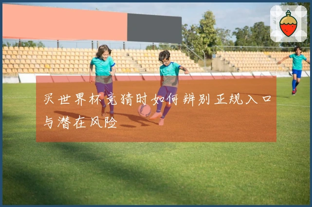 买世界杯竞猜时如何辨别正规入口与潜在风险