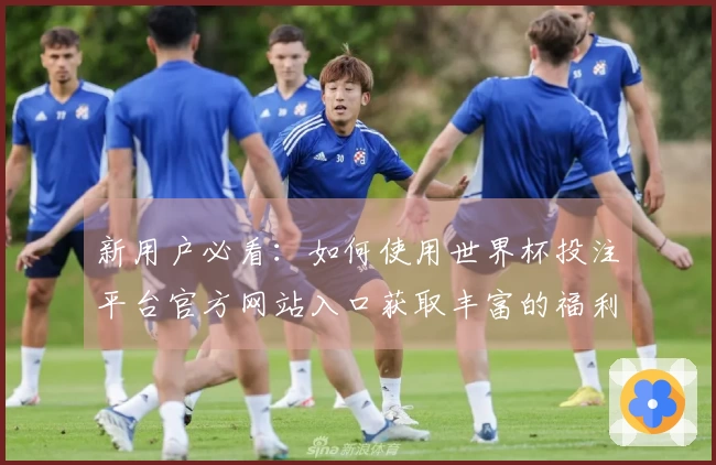 新用户必看:如何使用世界杯投注平台官方网站入口获取丰富的福利信息