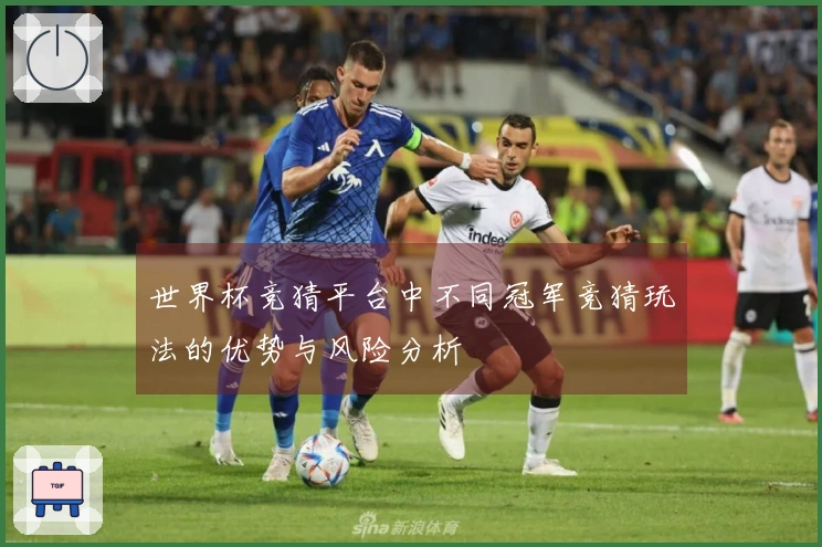 世界杯竞猜平台中不同冠军竞猜玩法的优势与风险分析