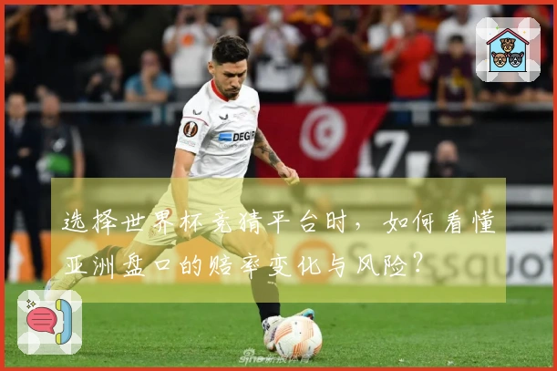 选择世界杯竞猜平台时，如何看懂亚洲盘口的赔率变化与风险？