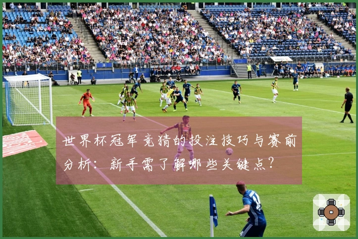 世界杯冠军竞猜的投注技巧与赛前分析：新手需了解哪些关键点？