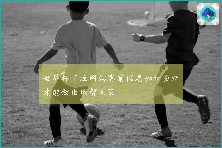 世界杯下注网站赛前信息如何分析才能做出明智决策