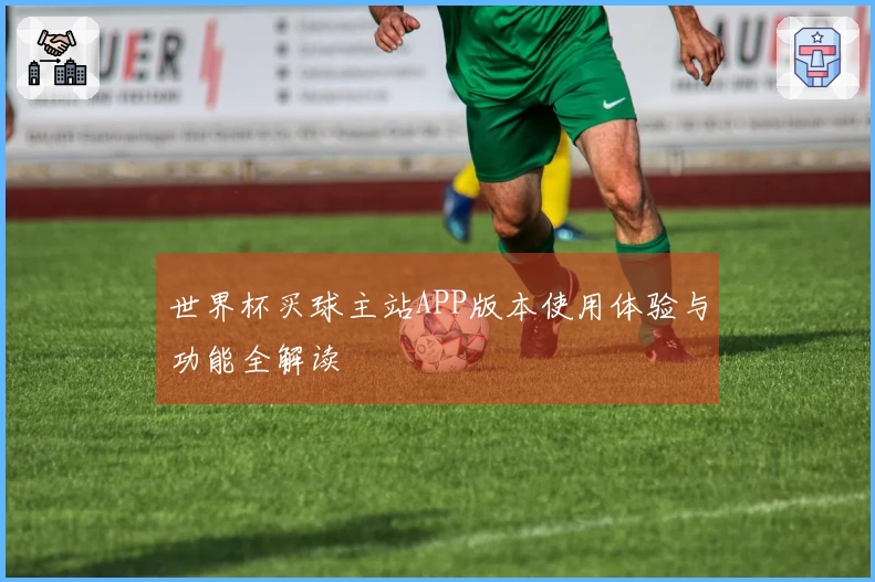 世界杯买球主站APP版本使用体验与功能全解读