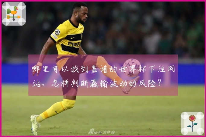 哪里可以找到靠谱的世界杯下注网站，怎样判断赢输波动的风险？