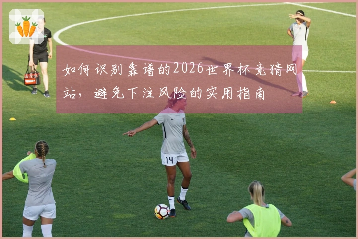 如何识别靠谱的2026世界杯竞猜网站，避免下注风险的实用指南