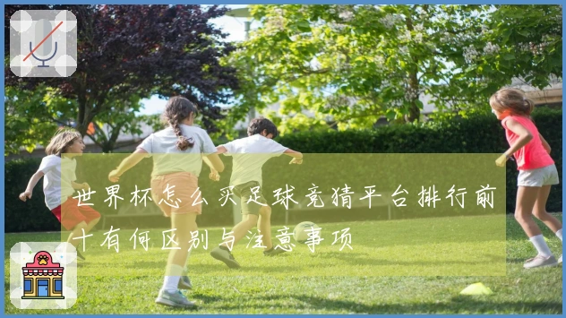 世界杯怎么买足球竞猜平台排行前十有何区别与注意事项