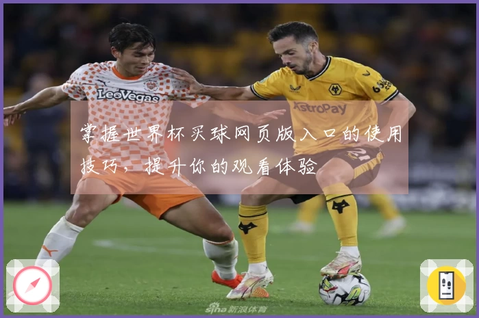 掌握世界杯买球网页版入口的使用技巧，提升你的观看体验