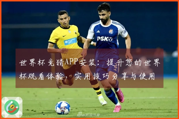 世界杯竞猜APP安装：提升您的世界杯观看体验，实用技巧分享与使用指南