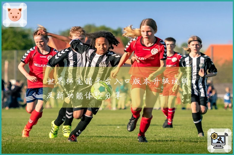 世界杯竞猜平台入口版本升级说明及新功能体验分享