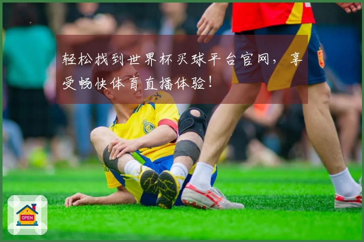 轻松找到世界杯买球平台官网，享受畅快体育直播体验！