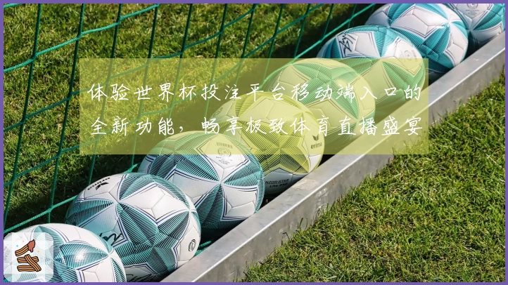 体验世界杯投注平台移动端入口的全新功能，畅享极致体育直播盛宴