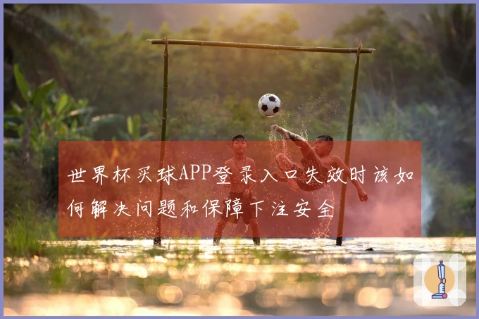 世界杯买球APP登录入口失效时该如何解决问题和保障下注安全