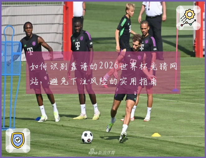 如何识别靠谱的2026世界杯竞猜网站，避免下注风险的实用指南