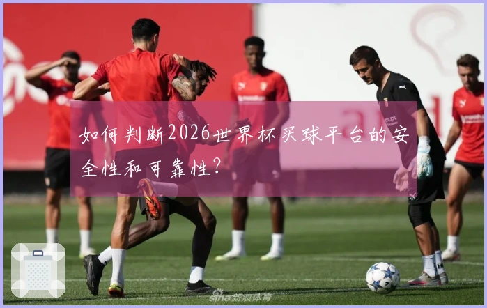 如何判断2026世界杯买球平台的安全性和可靠性？