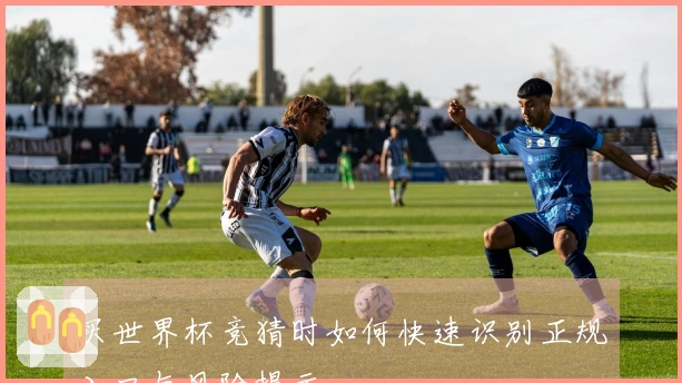 买世界杯竞猜时如何快速识别正规入口与风险提示