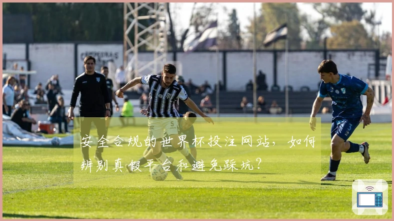 安全合规的世界杯投注网站，如何辨别真假平台和避免踩坑？