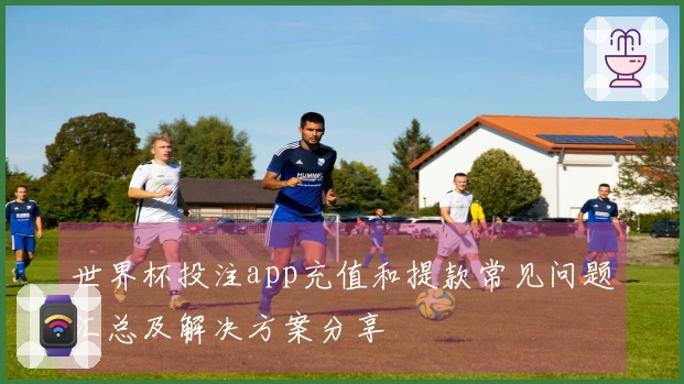 世界杯投注app充值和提款常见问题汇总及解决方案分享