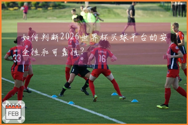 如何判断2026世界杯买球平台的安全性和可靠性？