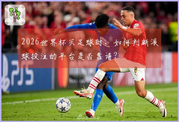 2026世界杯买足球时，如何判断滚球投注的平台是否靠谱？
