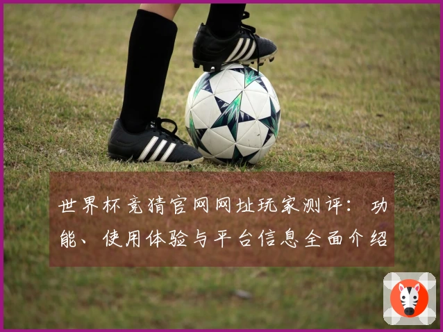 世界杯竞猜官网网址玩家测评：功能、使用体验与平台信息全面介绍