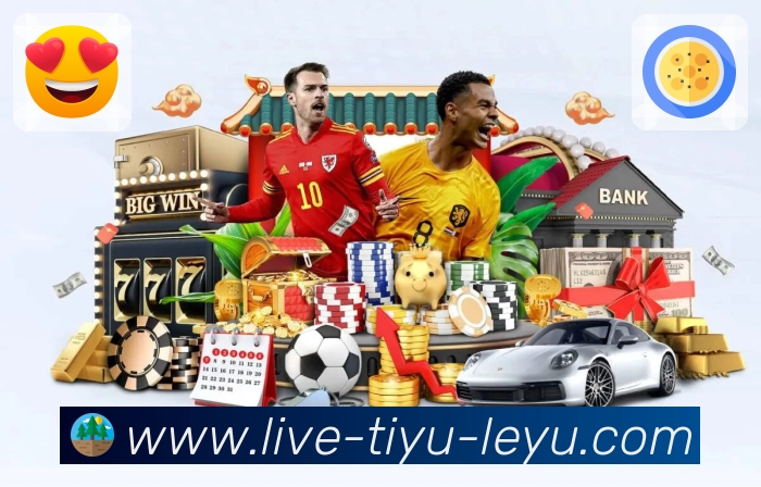 体育平台欢迎图